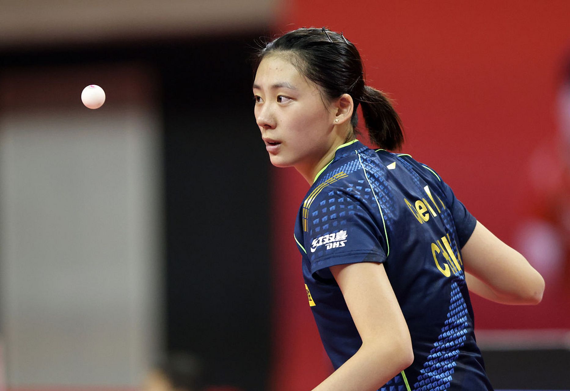 己在本赛季 己在本赛季