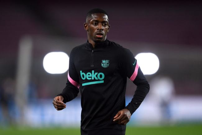 我国幼狮队 我国幼狮队